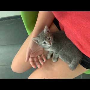 Meet your Posher, Juliette